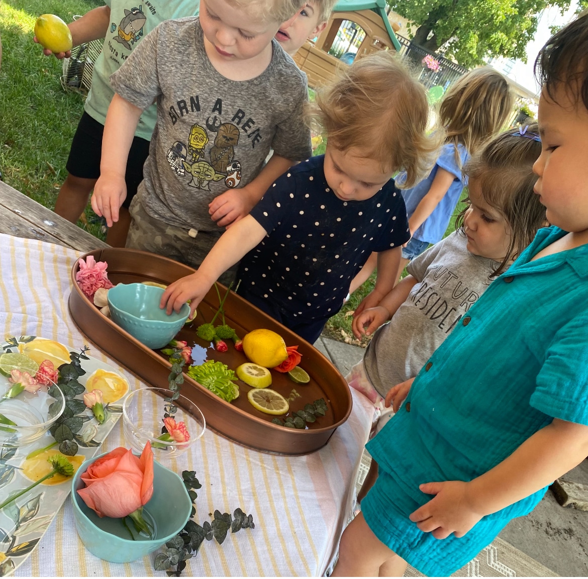 The Power of “Why?”: Sparking Imagination and Curiosity at Kinderberry Hill